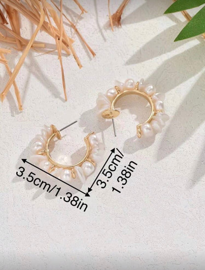 Aretes - 9161