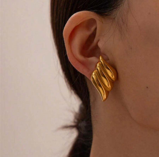 5654 aretes de alas